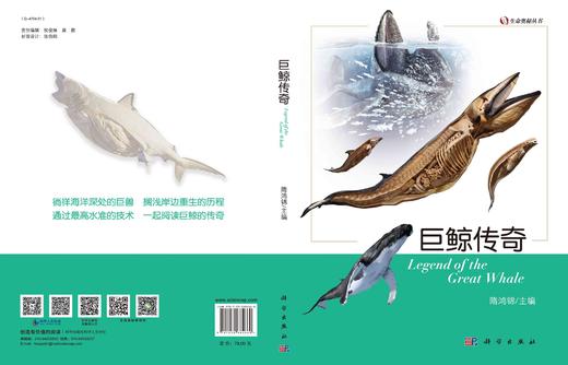 巨鲸传奇/隋鸿锦 商品图3