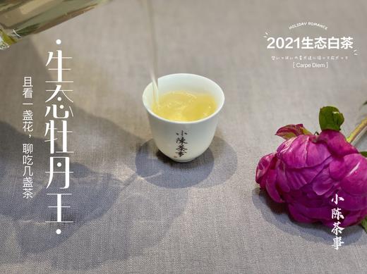 高雅华贵，小陈茶事第三款春茶2021有机牡丹王登场（1斤收藏装） 商品图8