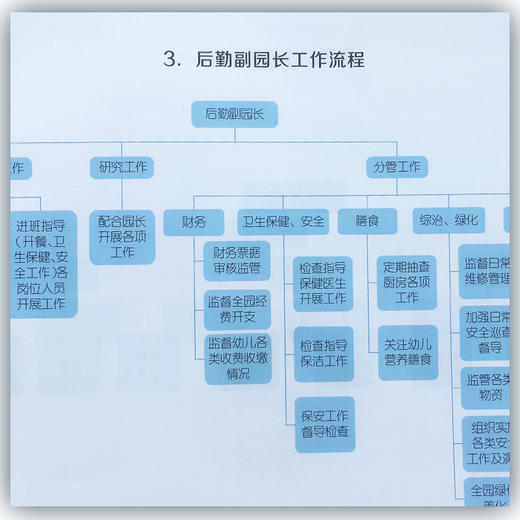 幼儿园工作流程图解 复旦大学出版社 商品图4