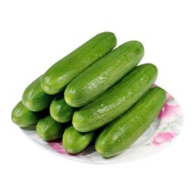 水果小黄瓜（清甜可口）