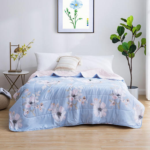 罗莱家纺 花语微澜清逸夏被XHR 商品图0