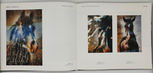 张耕畦《山野·良马》中国摄影出版社 商品图5