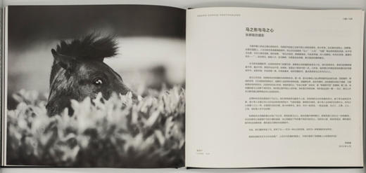 张耕畦《山野·良马》中国摄影出版社 商品图12