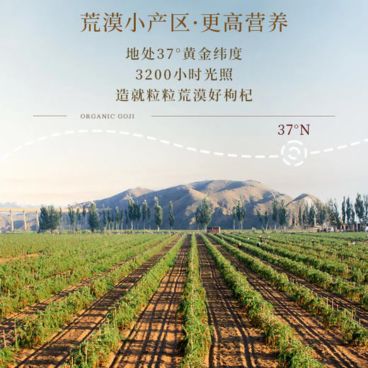 330g荒漠有机枸杞礼盒 商品图1