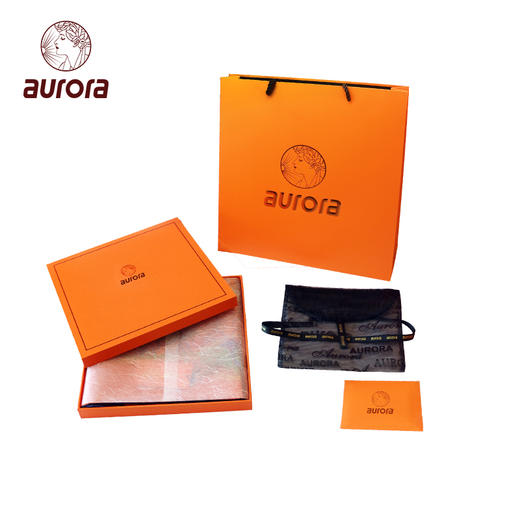 巴黎逐梦 丝巾 商品图4