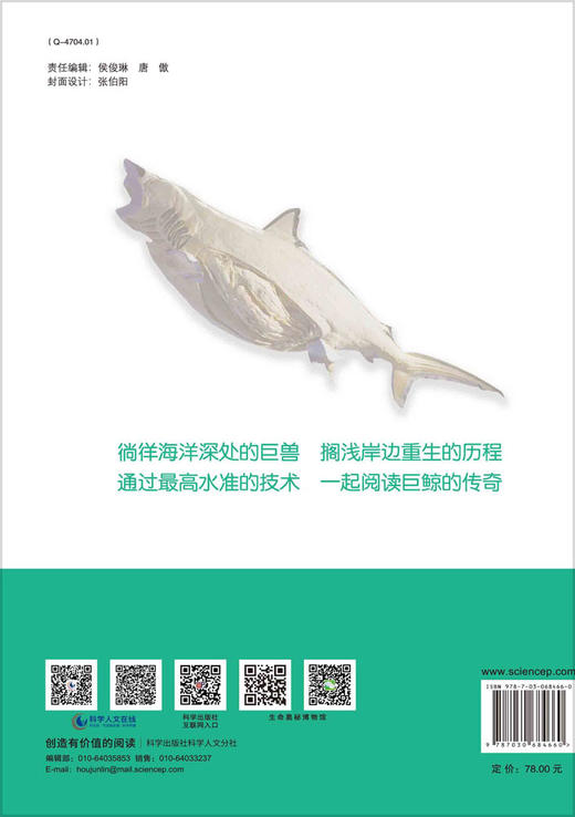 巨鲸传奇/隋鸿锦 商品图1