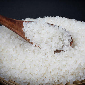 杞冠臻选 | 孙斌大米 东北特产珍珠米真空装5kg 一袋装 商品图1