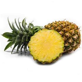 【新品】海南金钻凤梨