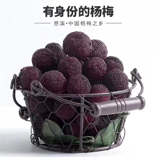 【尝鲜】慈溪圈圈荸荠种杨梅 商品图0