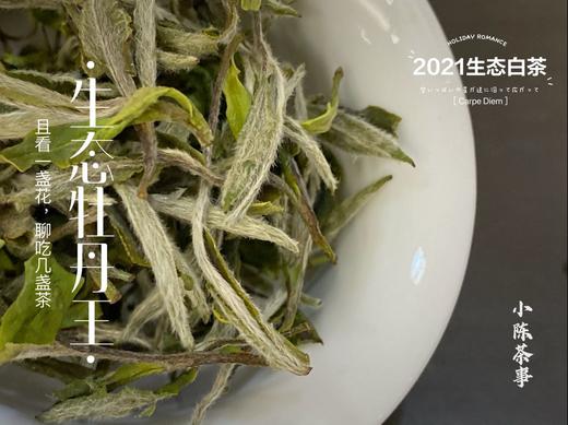 高雅华贵，小陈茶事第三款春茶2021有机牡丹王登场（1斤收藏装） 商品图4
