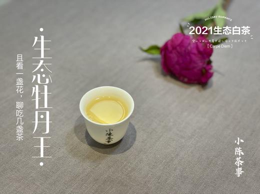 高雅华贵，小陈茶事第三款春茶2021有机牡丹王登场（1斤收藏装） 商品图9