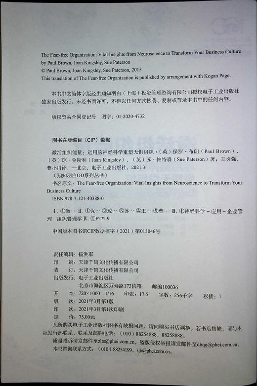 激活组织能量：运用脑神经科学重塑无惧组织 商品图1