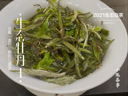 高雅华贵，小陈茶事第三款春茶2021有机牡丹王登场（1斤收藏装） 商品图6