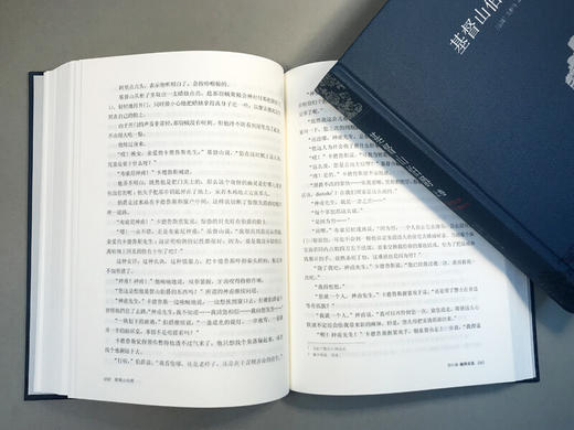 基督山伯爵(套装上下册)(周克希译本) 商品图3