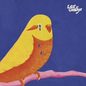 Last Goodbye - 《Last Goodbye》黑胶