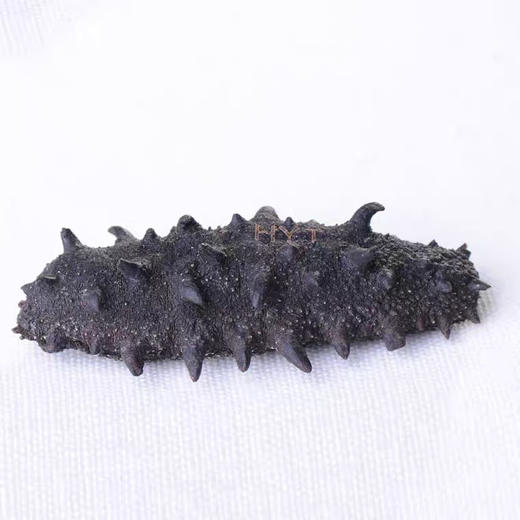 B1F 海晏堂免清洗干海参 300g/盒 商品图2