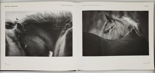 张耕畦《山野·良马》中国摄影出版社 商品图3