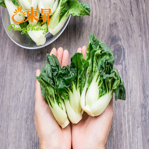 东升斗白苗  鹤斗白苗  广州蔬菜新鲜配送250G 商品图3