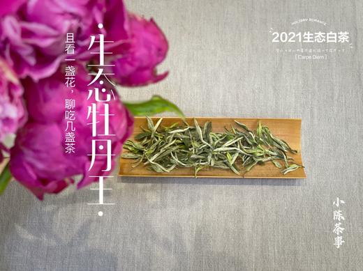 高雅华贵，小陈茶事第三款春茶2021有机牡丹王登场（1斤收藏装） 商品图0