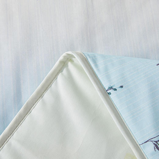 罗莱家纺 水洗蚕丝空调被 180*200cm    XHR 商品图3