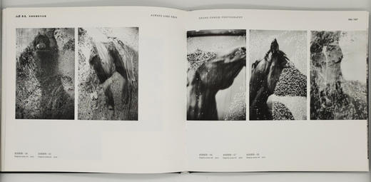 张耕畦《山野·良马》中国摄影出版社 商品图6