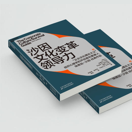 湛庐┃沙因文化变革领导力 企业管理品牌建设 商品图3
