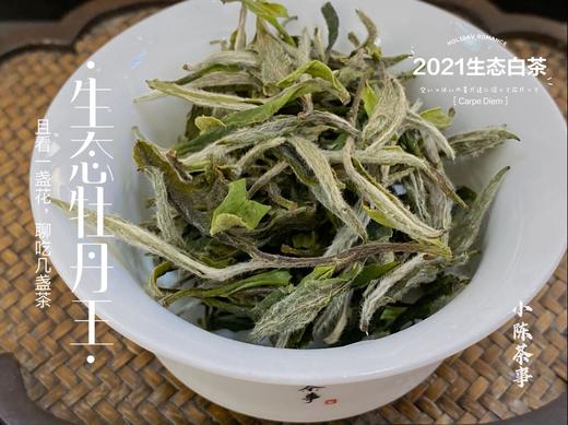 高雅华贵，小陈茶事第三款春茶2021有机牡丹王登场（1斤收藏装） 商品图5