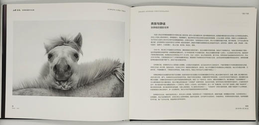 张耕畦《山野·良马》中国摄影出版社 商品图11