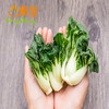 东升斗白苗  鹤斗白苗  广州蔬菜新鲜配送250G 商品缩略图4