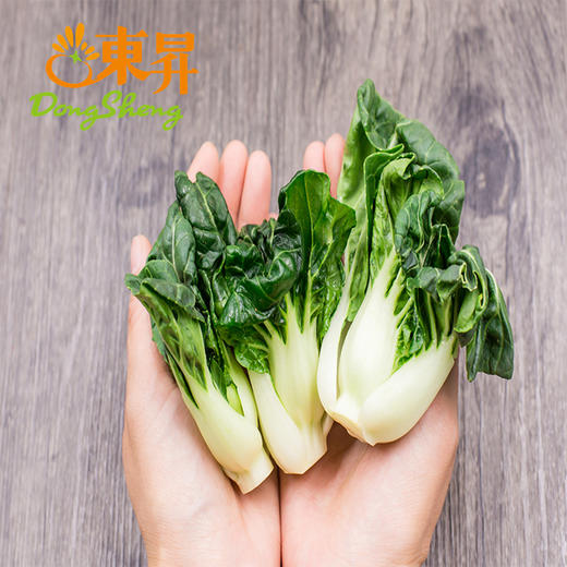 东升斗白苗  鹤斗白苗  广州蔬菜新鲜配送250G 商品图4