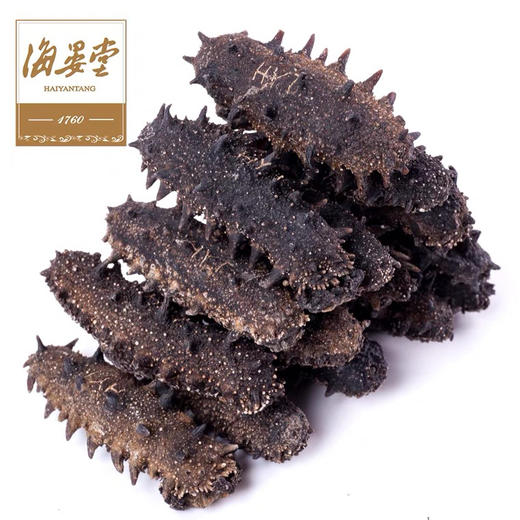 B1F 海晏堂免清洗干海参 500g/盒 商品图2