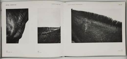 张耕畦《山野·良马》中国摄影出版社 商品图8