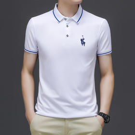 【专享】POLO SANTA ROBERTA 男士夏季短袖翻领刺绣POLO衫 LHA6005