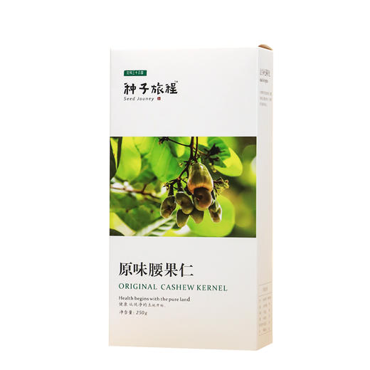北纬纯净食品|38°越南进口原味腰果雨林原生腰果仁新鲜250g 商品图4