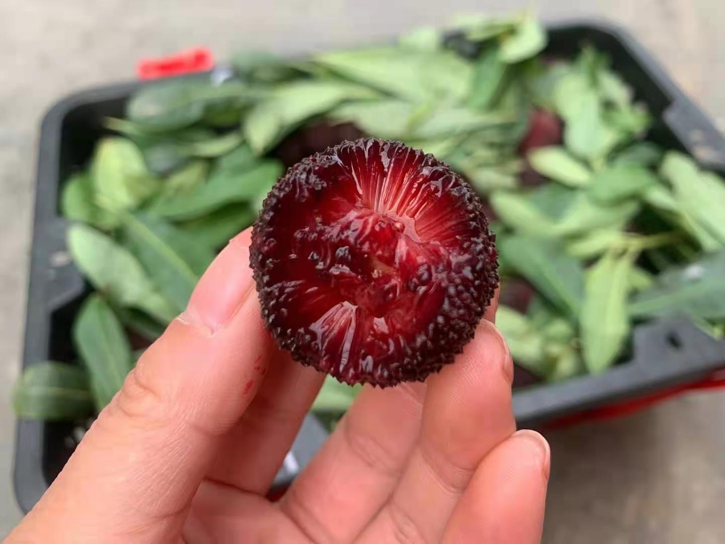 云南空运高山黑炭杨梅4斤装颗颗甄选锁住枝头每一口鲜甜酸甜可口