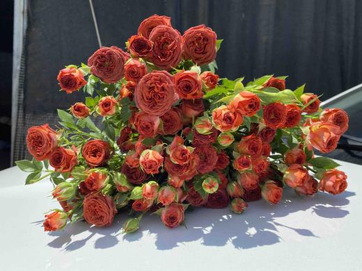 多头玫瑰·巧克力泡泡 商品图0