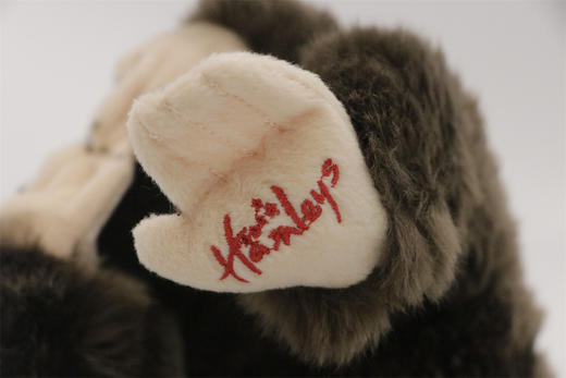 【自营】Hamleys 猴与猴宝宝	556878 商品图3