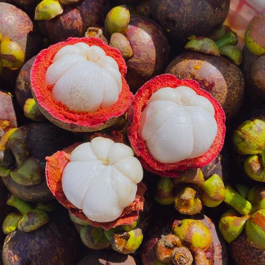 【空运老树麻竹】1斤/3斤/5斤 皮薄，超甜 商品图1