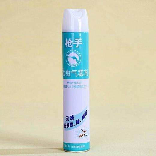 枪手小骑士杀虫气雾剂600ml(6907469010158) 商品图0