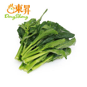 东升农场 供港芥兰苗 白花小芥蓝苗 广州蔬菜新鲜配送 250g