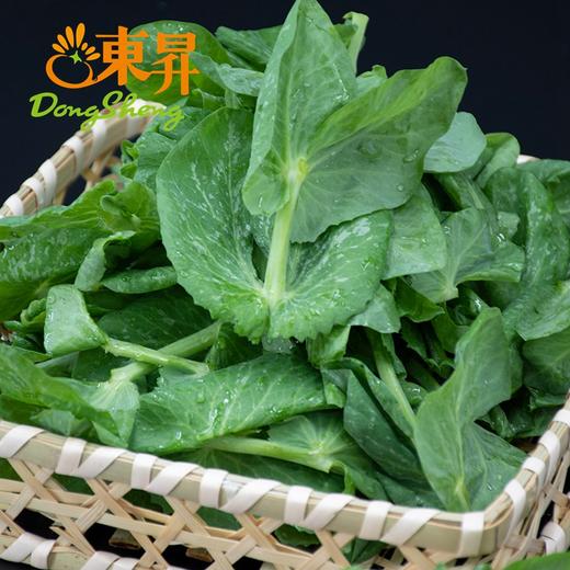 东升农场   豆苗   豌豆尖 荷兰豆苗 新鲜配送200g 商品图2