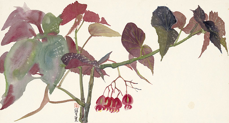 薛继业高仿微喷版画《竹节海棠》