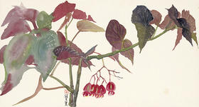 薛继业高仿微喷版画《竹节海棠》