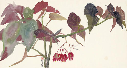 薛继业高仿微喷版画《竹节海棠》 商品图0