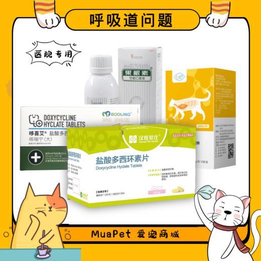 【猫咪狗狗呼吸道】 商品图0
