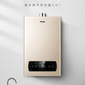 海尔（Haier）热水器JSQ22-12DN1(12T)U1