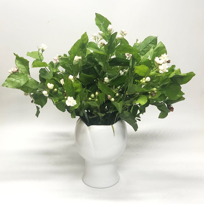 不仁斋薛继业陶瓷釉下点彩茉莉花瓣花瓶花插