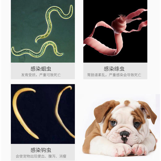 壹米动保-体外驱虫滴剂跳蚤 4个规格，安全有效！宠物猫除跳蚤蜱虫螨虫线虫去虱子 猫用-0.5ml 商品图3