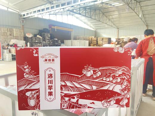 陕北黄土高原 至尊版洛川苹果8枚  净重4.5-4.8斤礼盒装 商品图2