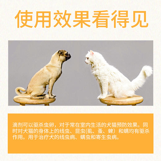壹米动保-体外驱虫滴剂跳蚤 4个规格，安全有效！宠物猫除跳蚤蜱虫螨虫线虫去虱子 猫用-0.5ml 商品图5
